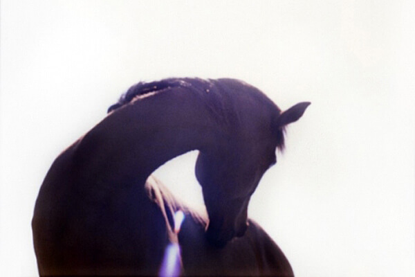 Studio Stefania Miscetti | Contemporary Art Rome | Artist: Marco Delogu