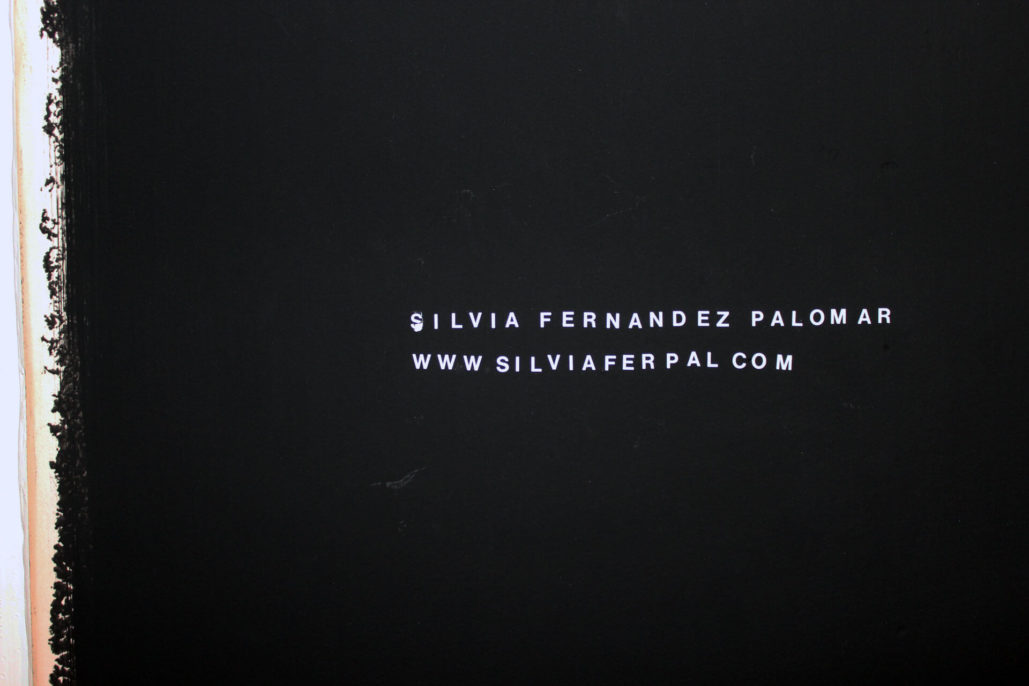 Silvia Fernandez Palomar, Per Roma. Spazio, luce, composizione, 2019, STUDIO STEFANIA MISCETTI, detail