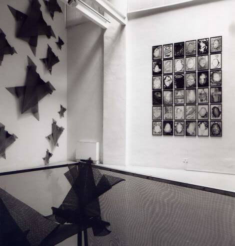 Teresa Montemaggiori, BREKEKEKE' La rana è senza perchè, 1992, exhibition view