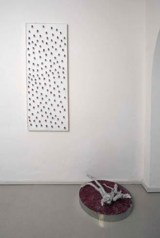 Luca Guatelli, The white park, 2007, exhibition view