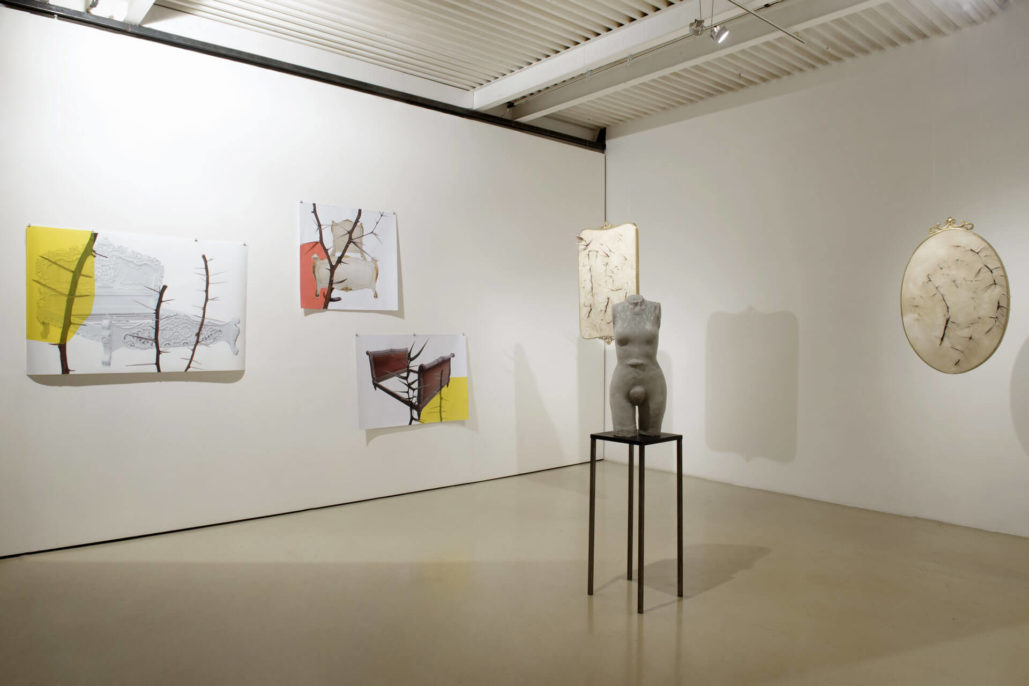 Silvia Giambrone, Il danno, 2018, Studio Stefania Miscetti, exhibition view, photo by Giordano Bufo