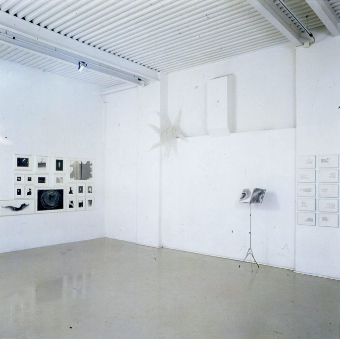 Giorgio Vigna, Noctiluca, 1994, STUDIO STEFANIA MISCETTI, exhibition view