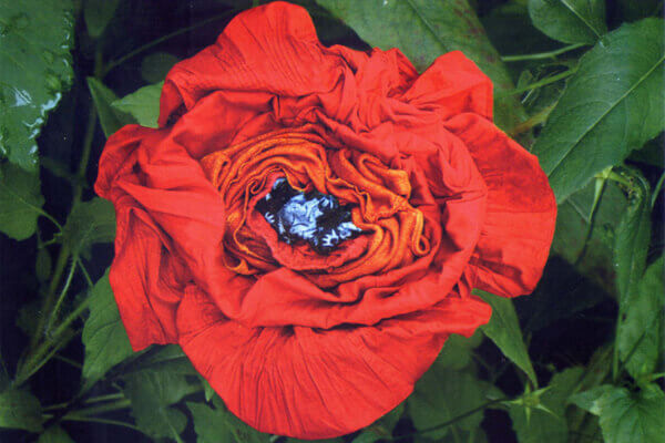 Studio Stefania Miscetti | Contemporary Art Rome | Artist: Marina Abramovic